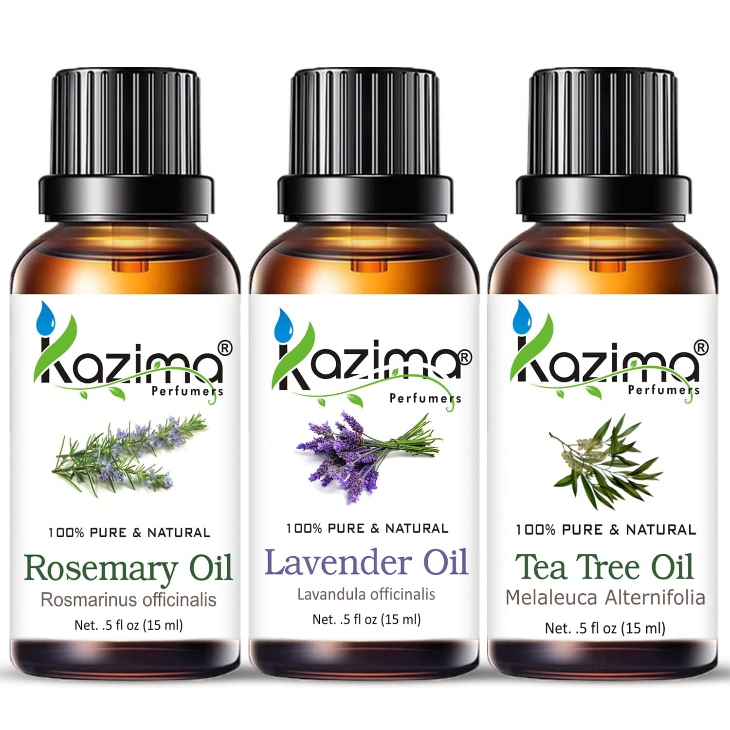 KAZIMA Essential Oils - Rosemary Oil, Lavender Oil & Tea Tree Oil (Combo Pack of 3) 15 ml Each