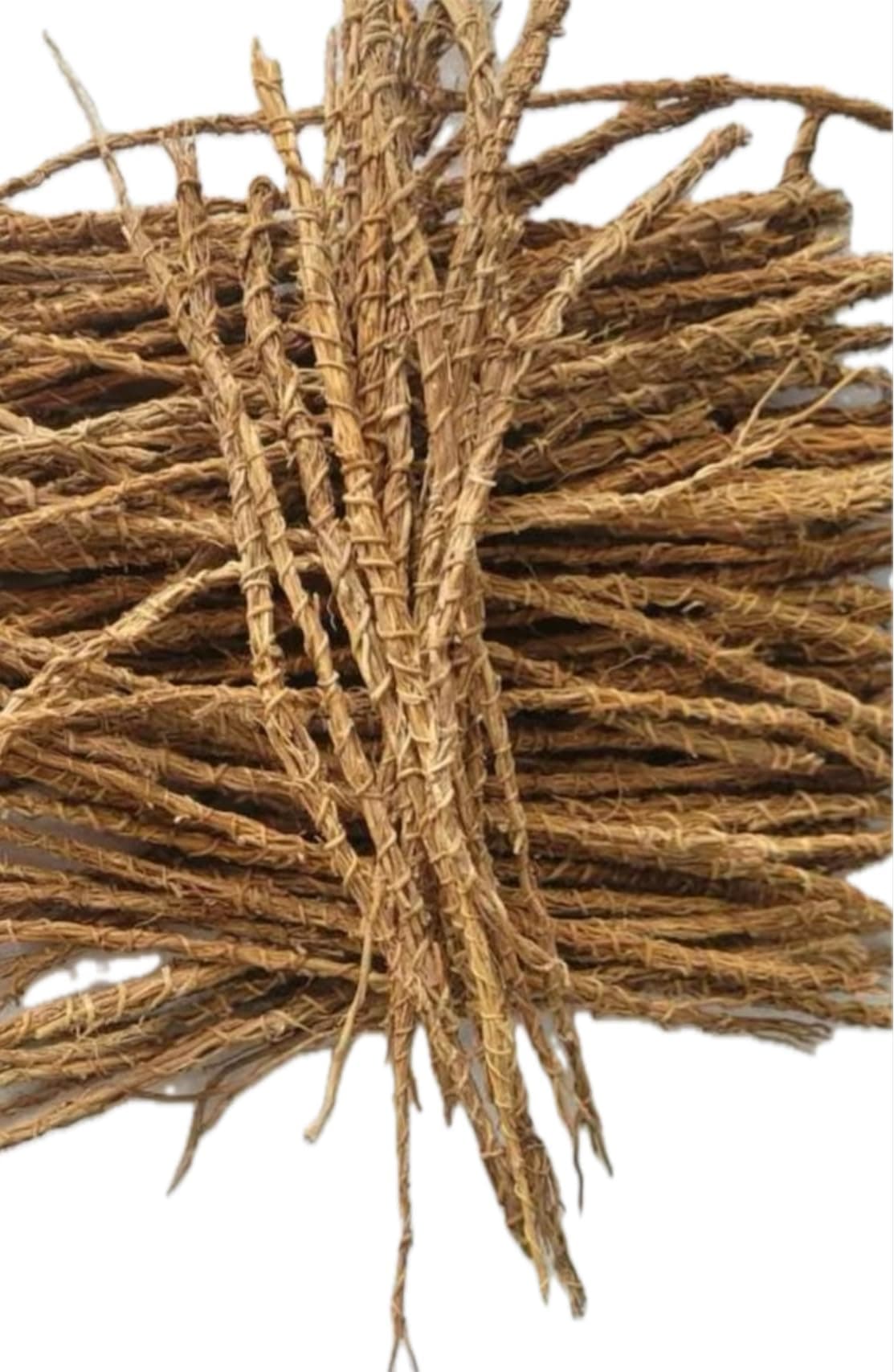 Generic 6 Gongonli Stems - Vetiver Roots - Khamaré - Gongonlili, Brown