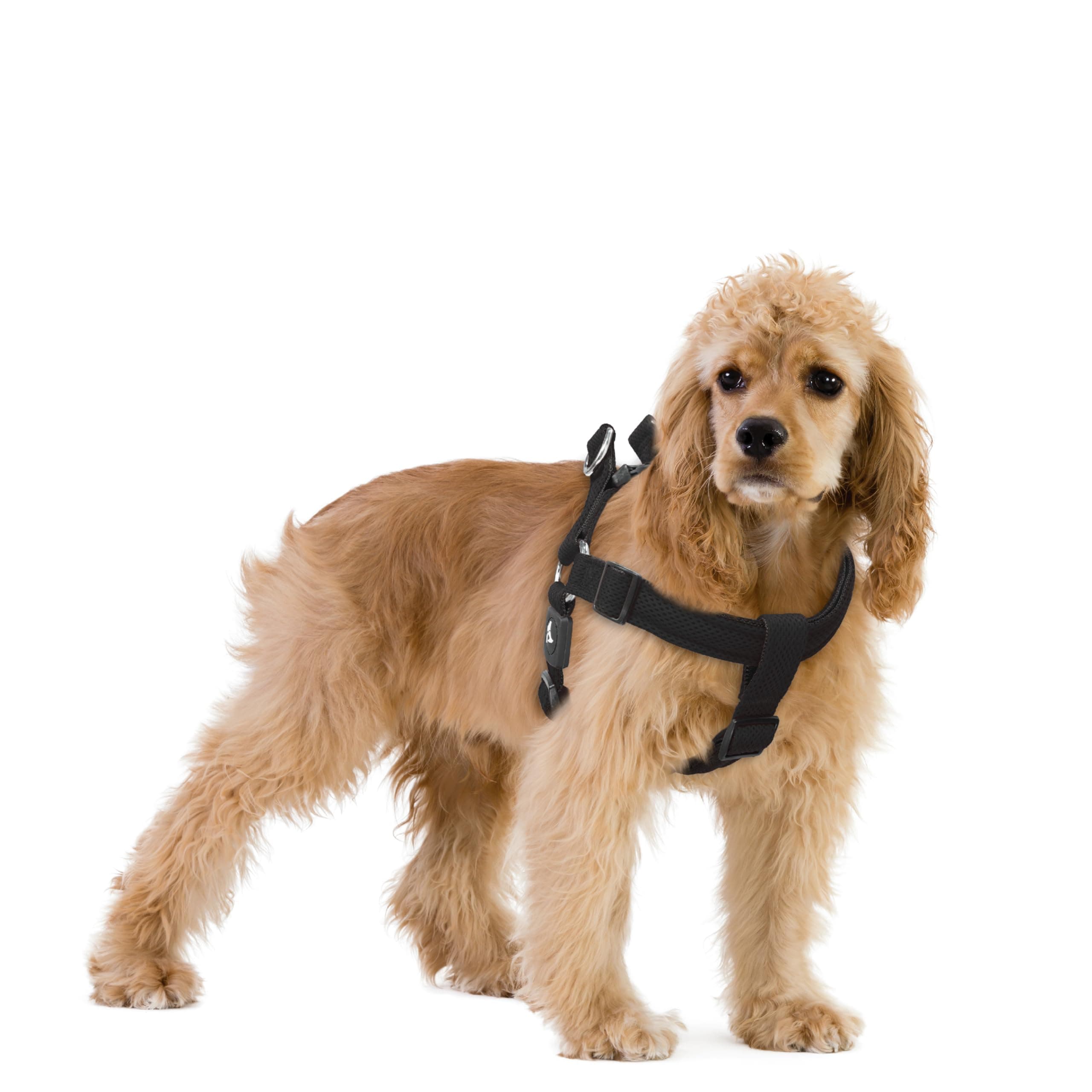 Kruz Original Heavy-Duty No Pull Dog Harness - Ultra Comfort, Lifetime Durability, Pet Harness for Small and Medium Dog Breeds (Black, Large)