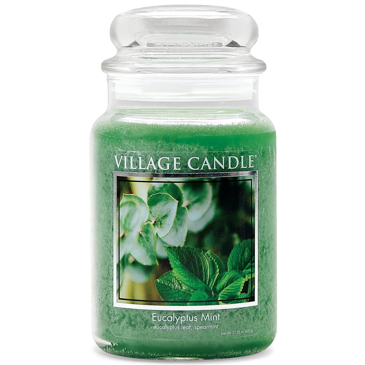 Eucalyptus Mint Large Glass Apothecary Jar Scented Candle, 21.25 oz, Green