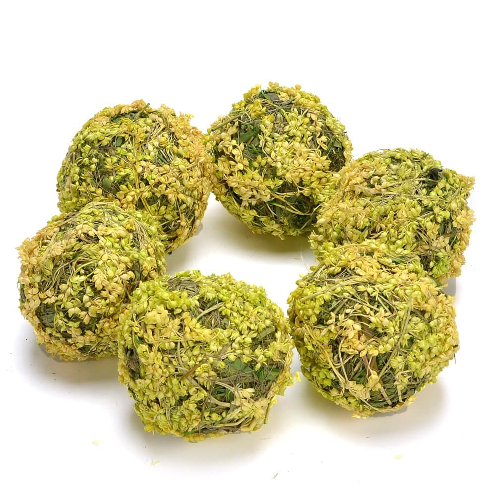 Green Natural Preserved Moss Ball Vase Bowl Filler