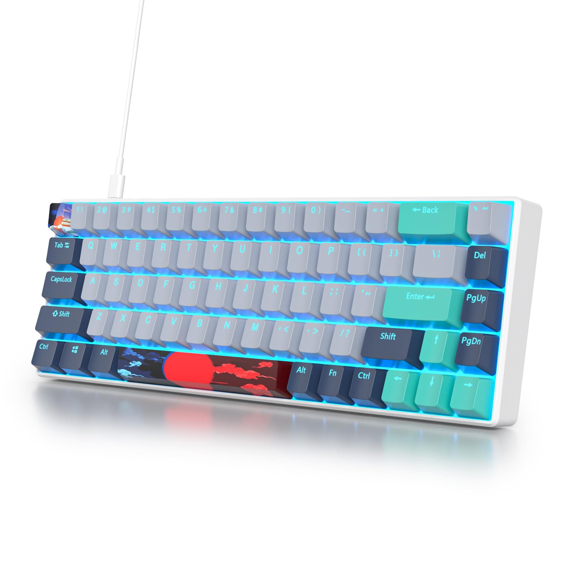 Owpkeenthy 65 Percent Mechanical Gaming Keyboard Hammerhead Shark with Red Switch Ultra Compact RGB Wired 60% Gaming Keyboard N-Key Rollover for PC Gamer Box PS