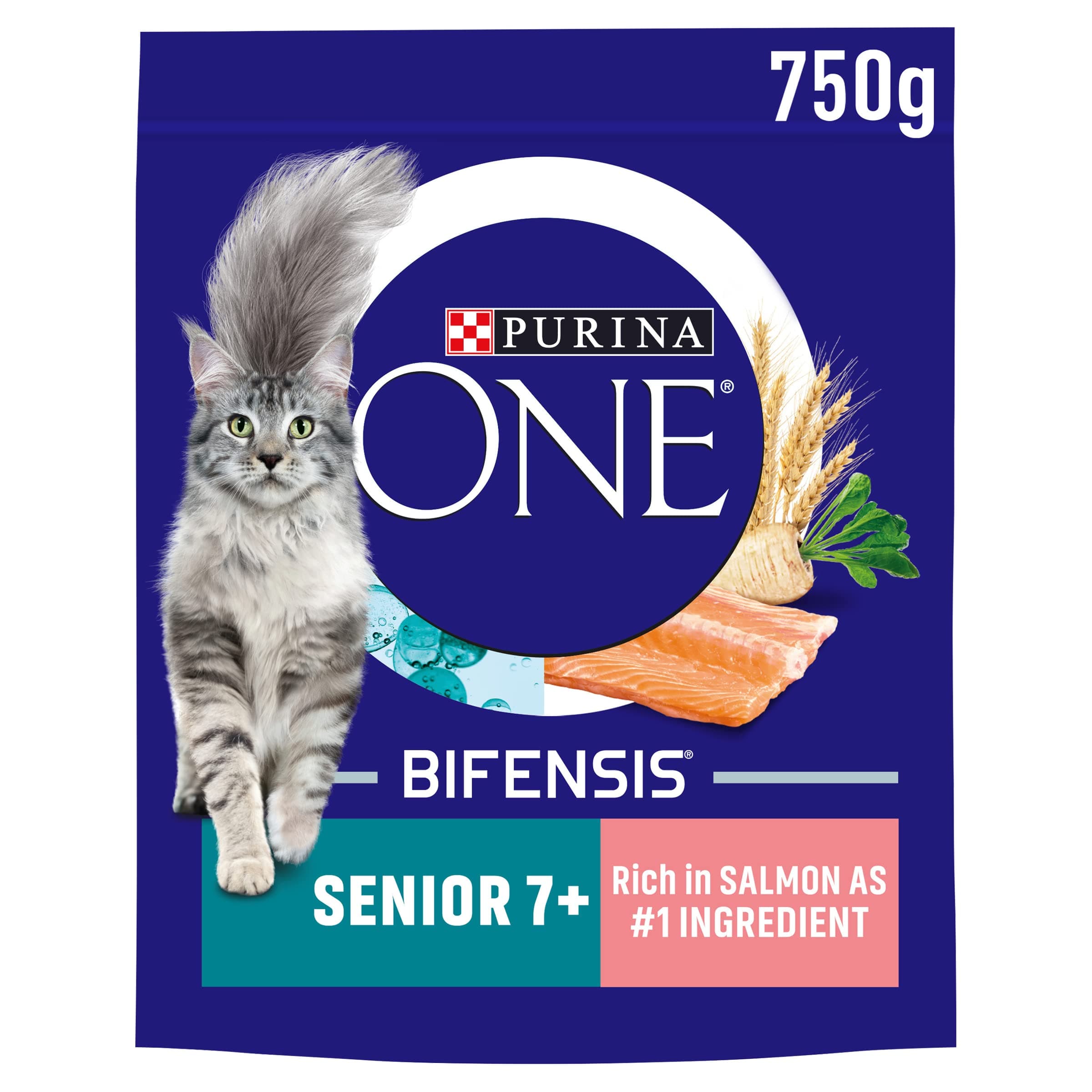 PURINA ONE Senior 7+ Salmon Dry Cat Food 750g (Pack of 4)