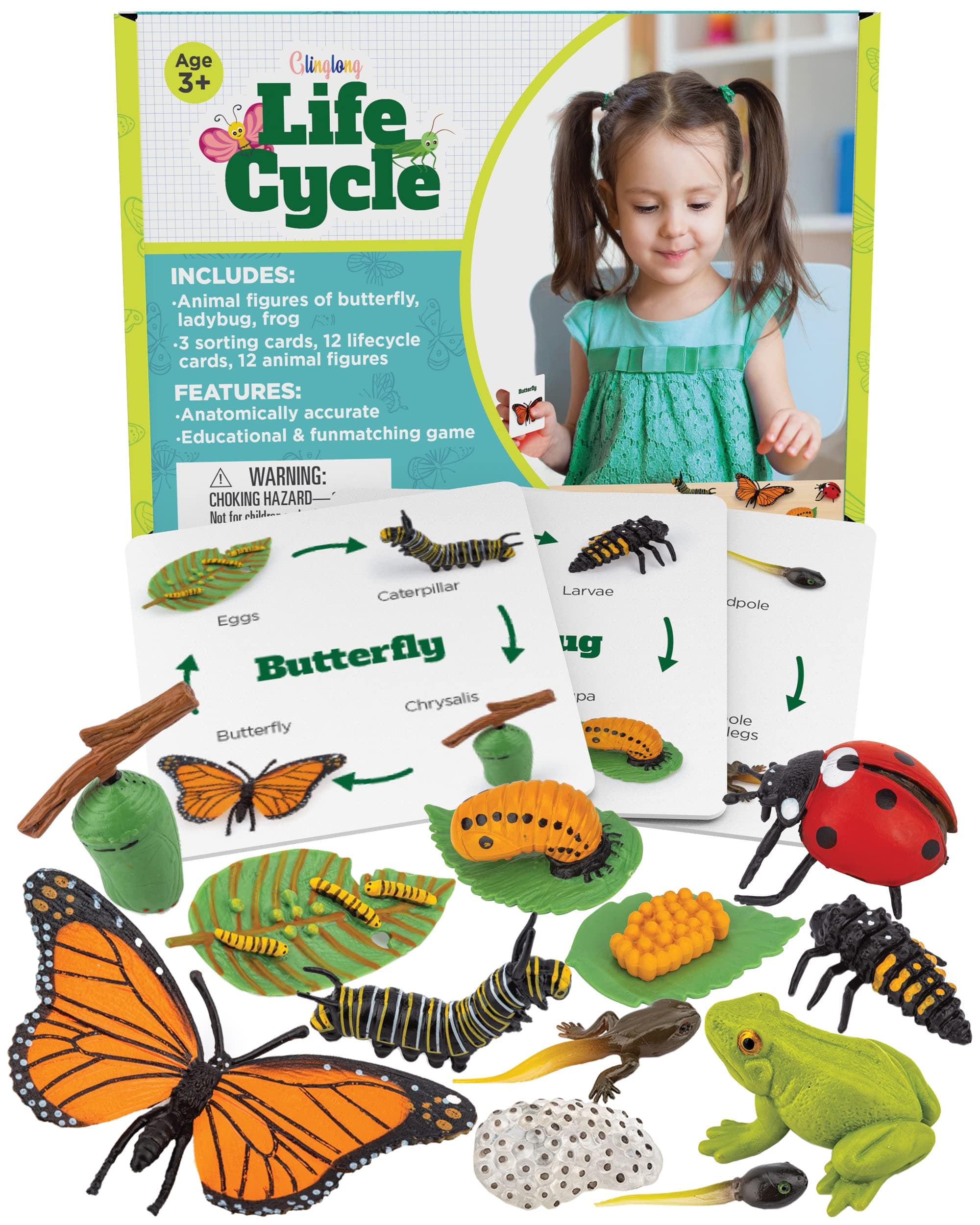 Life Cycle Animal Kit - 12-Piece Montessori Science Toy with Frog, Ladybug & Butterfly Figures. Matching Game & Educational, Stocking Stuffers for Kids Ages 3 4 5 6 7 8