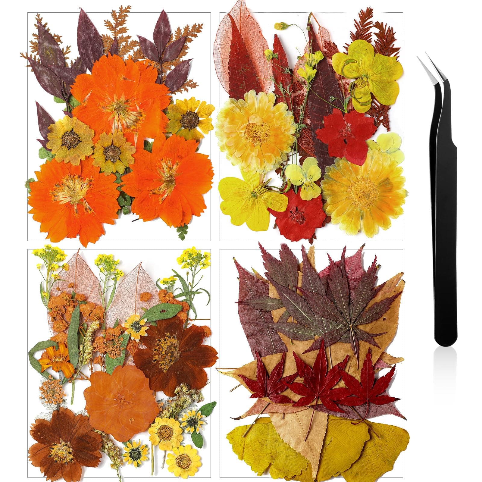 Nuanchu Fall Pressed Flowers Bulk Dried Flower for Crafts Autumn Orange Dried Wildflowers Natural Leave with Tweezer Fall Craft Supplies for Resin Mold Scrapbooking Nail Soap Making DIY Art Crafts