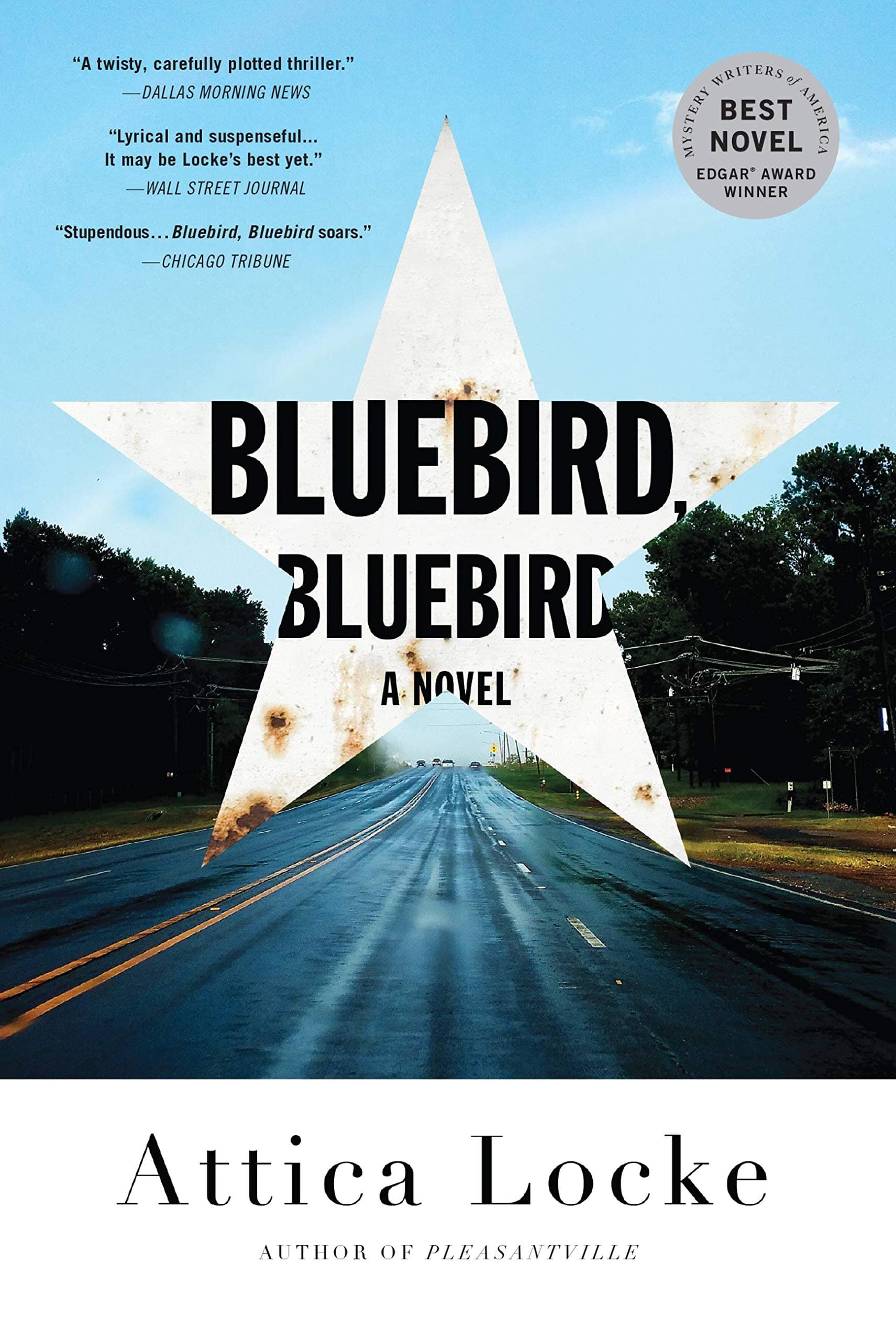 Bluebird, Bluebird (A Highway 59 Novel, 1)