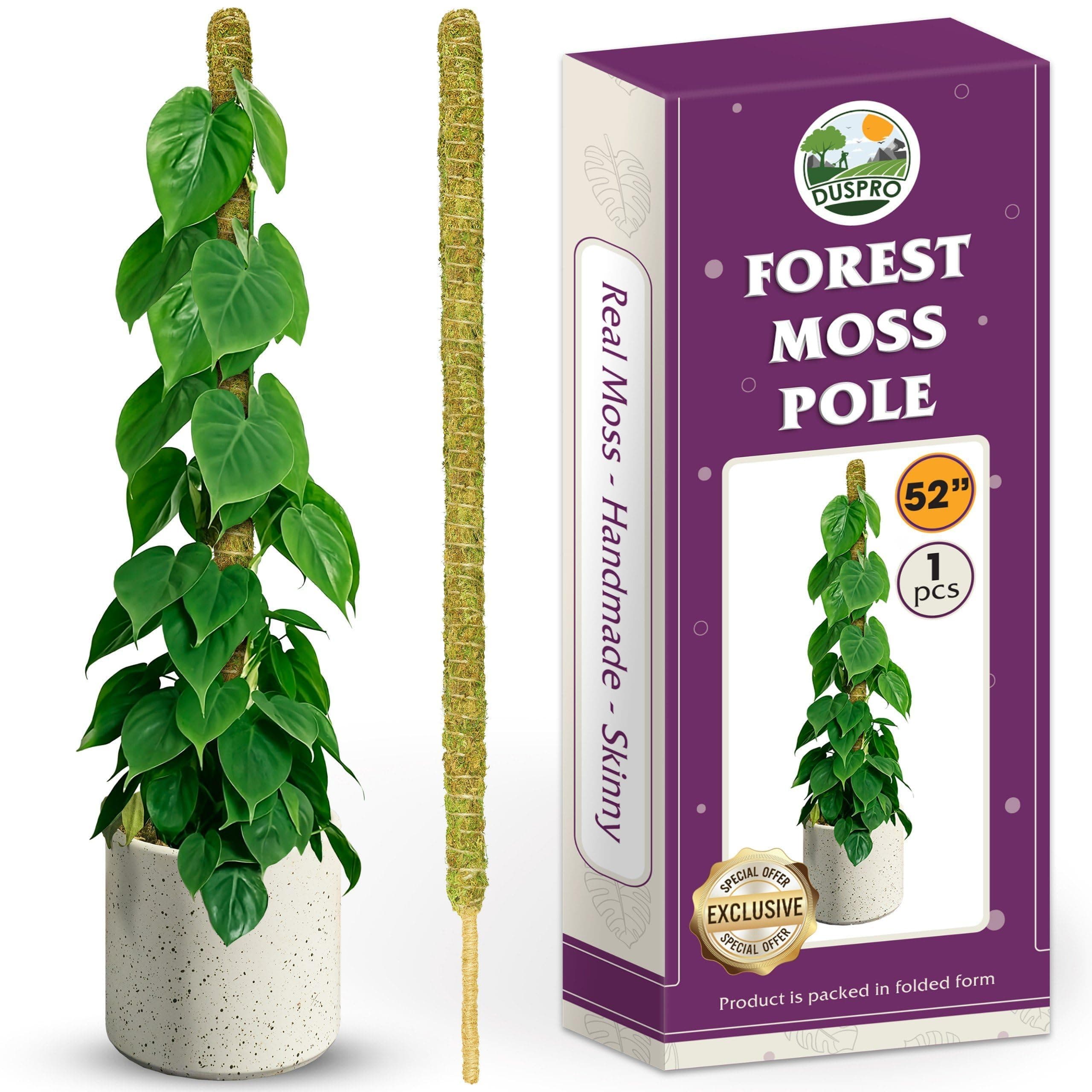 DUSPRO 52'' Forest Moss Pole for Plants, Forest Tall Moss Poles for Climbing Plants Monstera, Sphagnum Moss Stick for Monstera Plant Support, Handmade Plant Stakes for Indoor Plants Grow Upwards