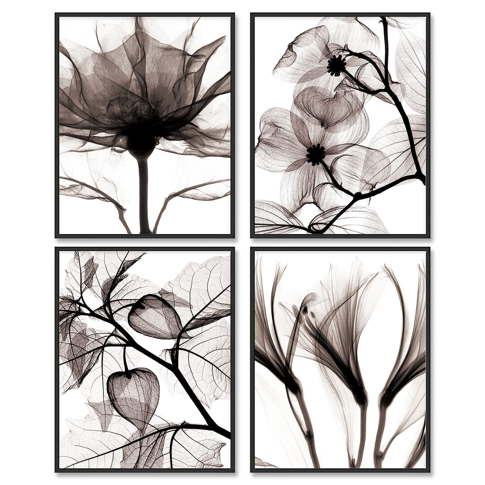 Black and White Wall Art Prints Posters Minimalist Decor, Set of 4, 8x10 Unframed Poster Canvas Prints, Botanical Prints Modern Wall Art Plant Painting
