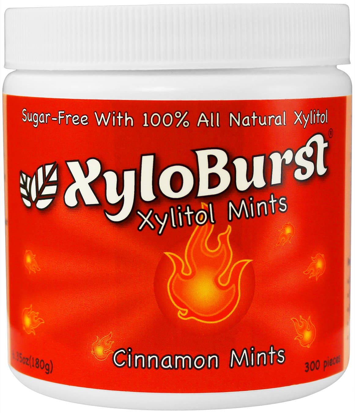 XyloBurst Mint Jar Cinnamon 300 Count (6.35oz) (FFP)