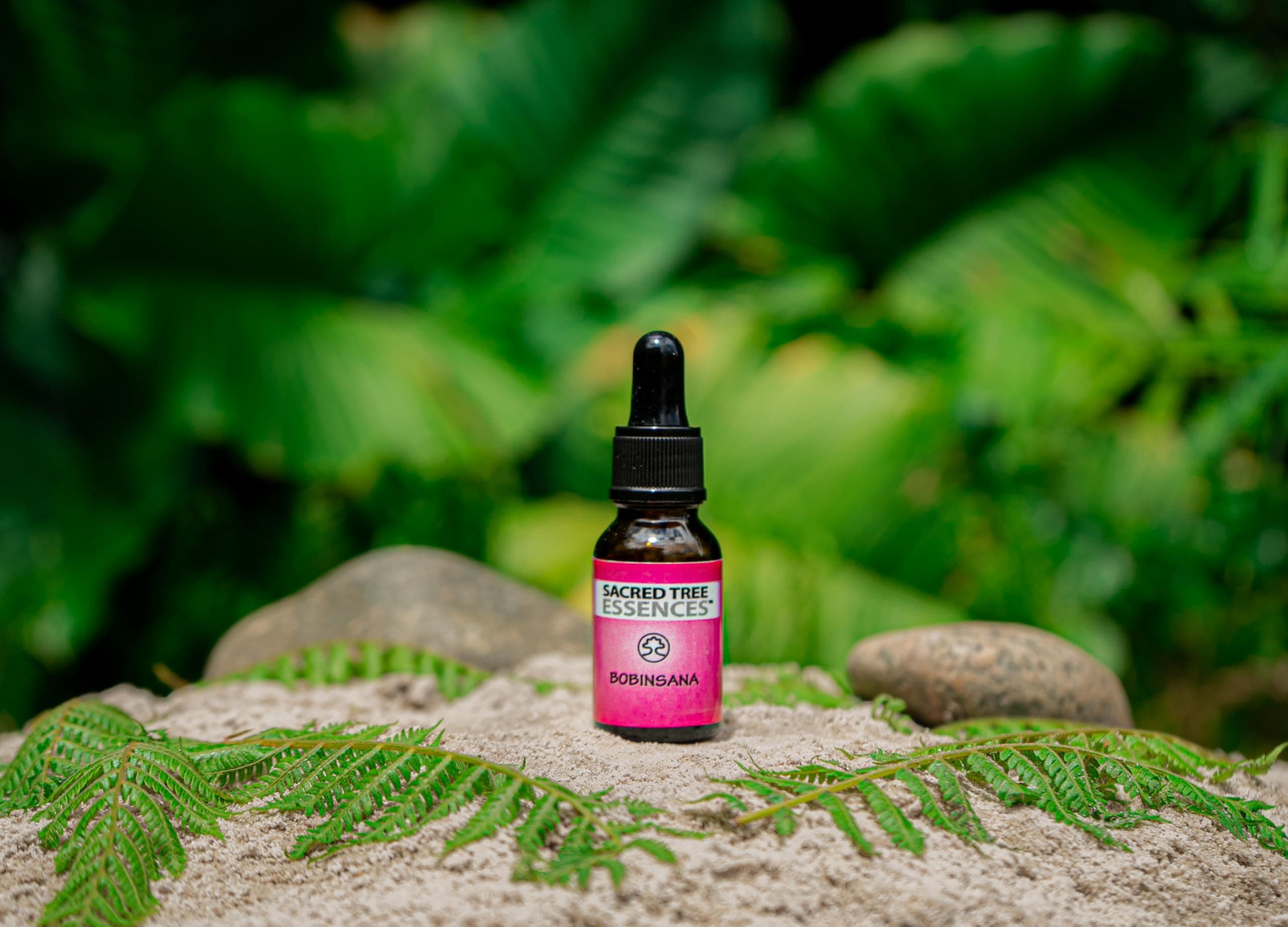 BOBINSANA Master Plant shamanic Amazonian Essence