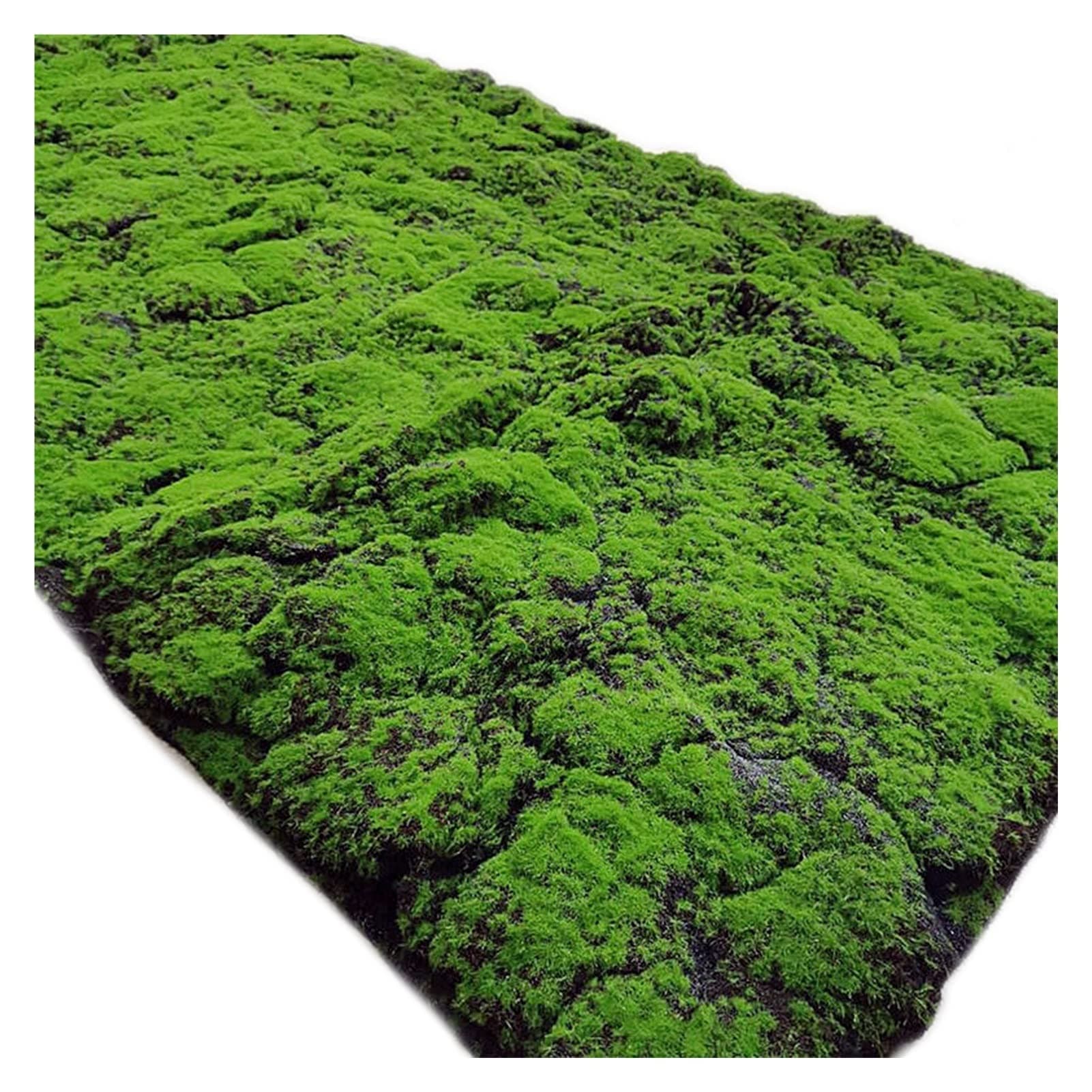 YIQIFLY Simulation Artificial Moss Mat Fake Grass Rug DIY Synthetic Turf Lawn Carpet for Wedding Home Backyard Balcony Indoor Outdoor Decor (Color : Dark Green, Size : 1x1m(3.2x3.2ft))