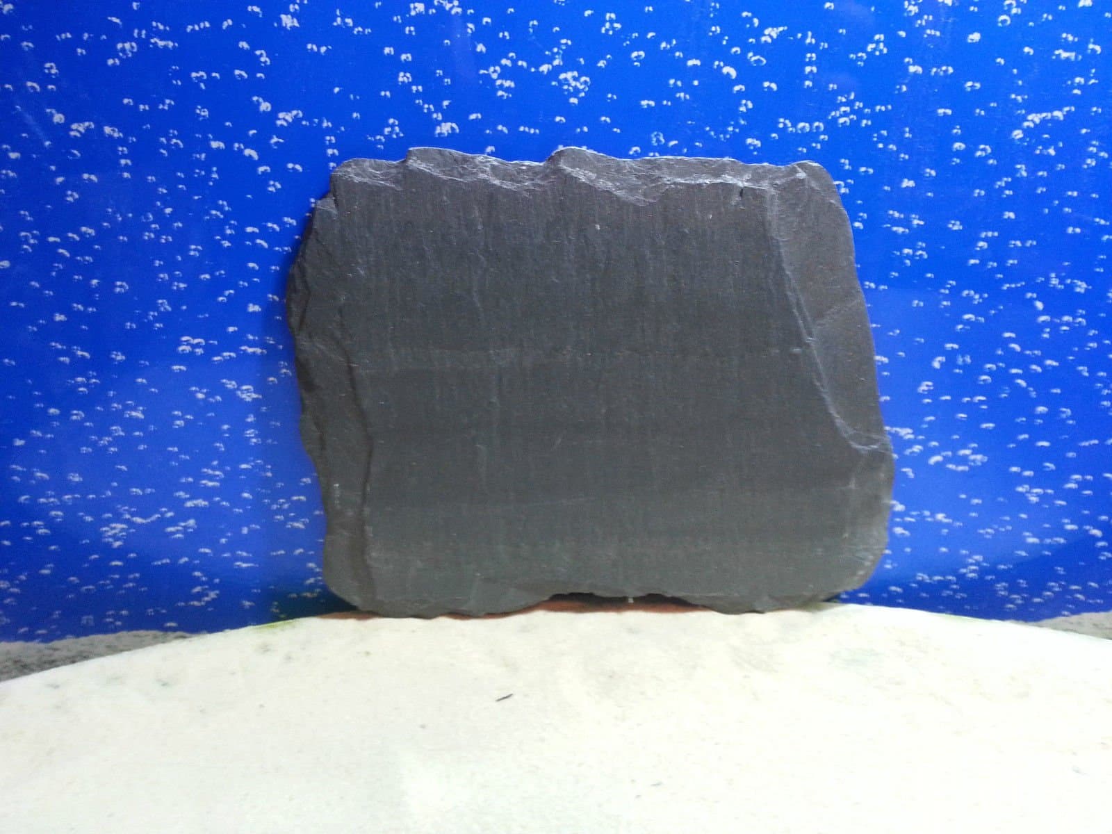 real natural flat slate stone rock piece for vivarium tortoise beak lizard claw trim