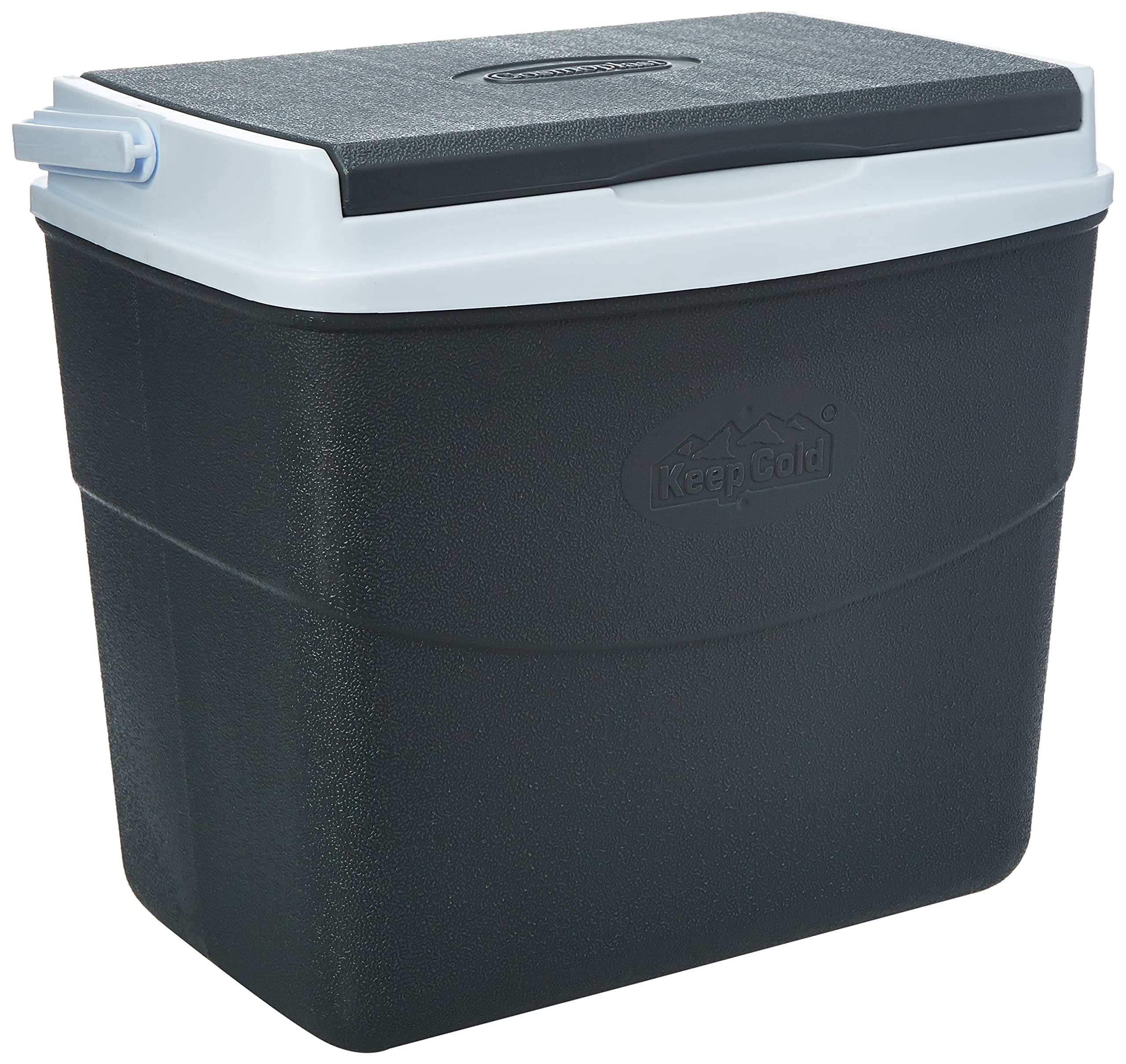 Cosmoplast Keep Cold Plastic Picnic Cooler Icebox Lunchbox 20 Liters (Mfibxx081Cg - Cool Grey)