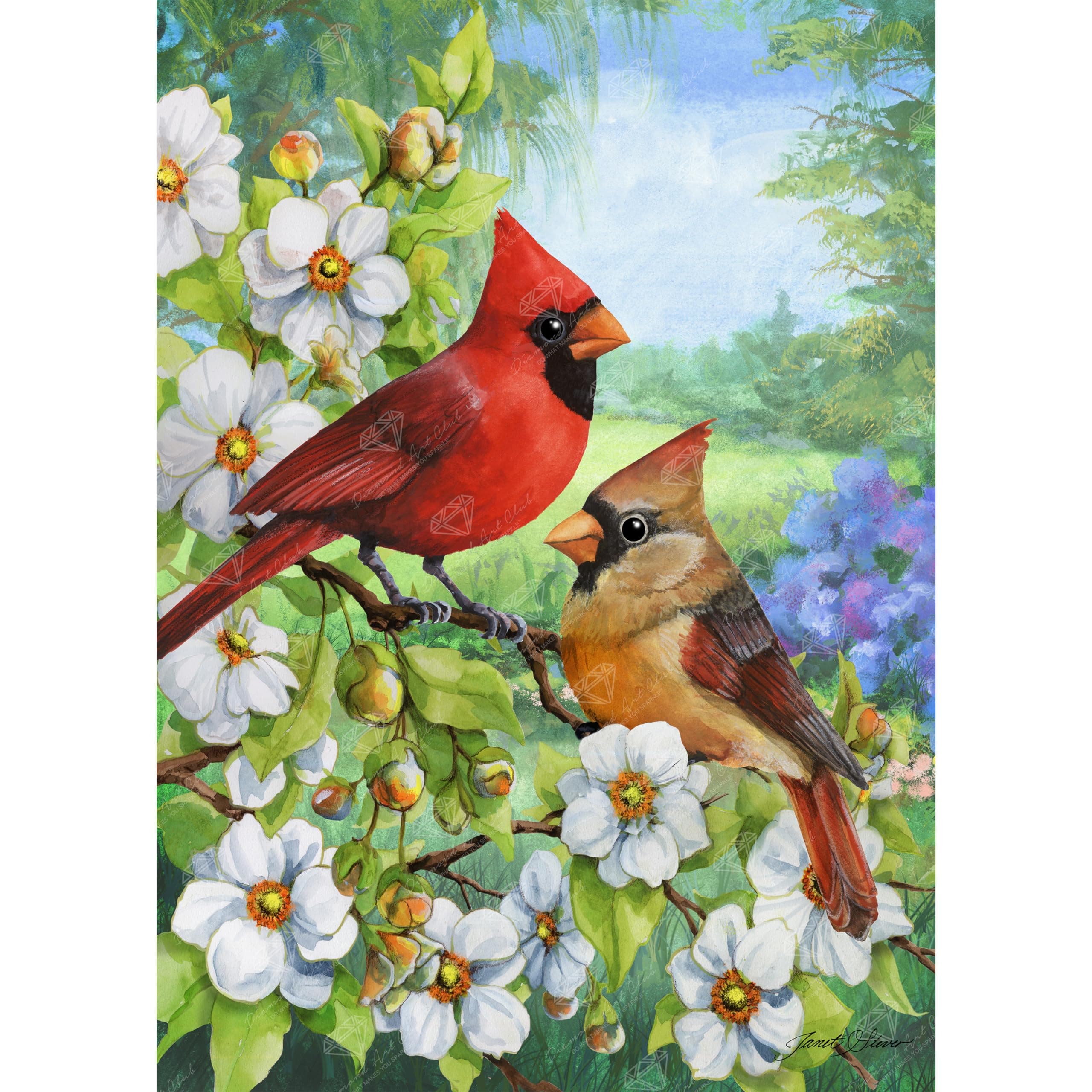 Cardinal Couple Diamond Painting Kit, Fun DIY Crafts for Adults, Round Diamond Art Canvas, 13" x 18"