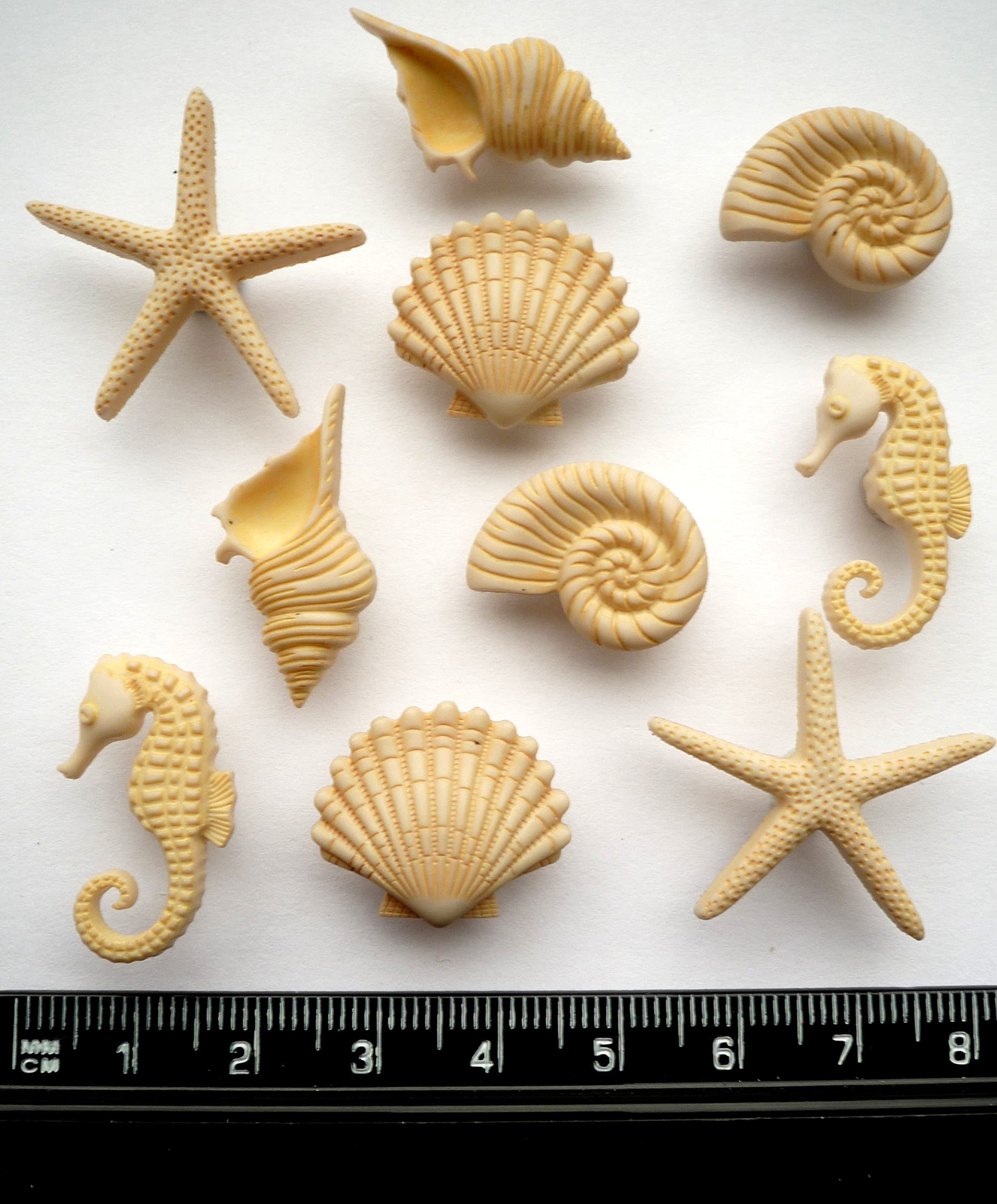 BEACH BEAUTIES - Novelty Craft Buttons & Embellishments by Dress It Up