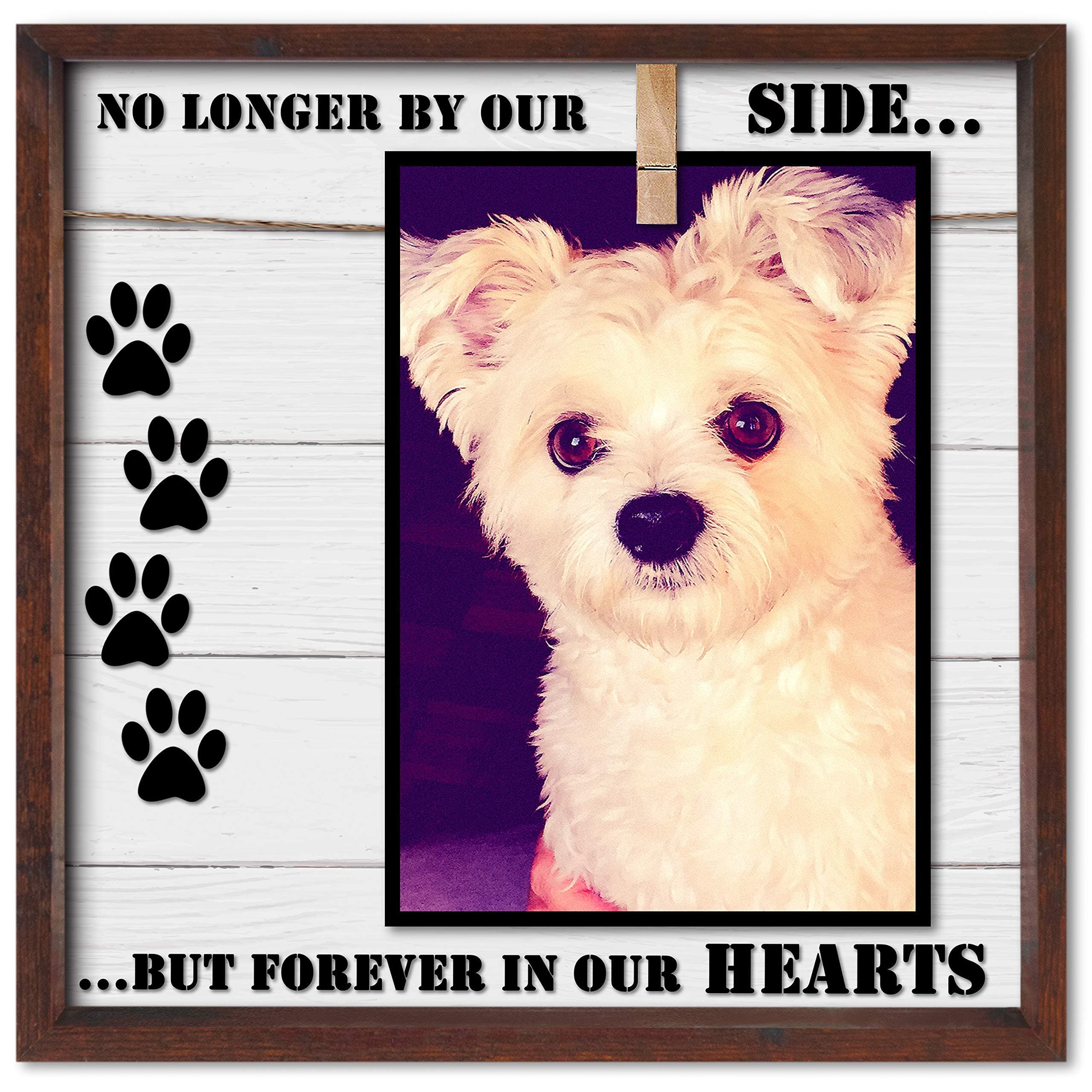 Pet Memorial Picture Frame. Cleverly Designed for 7x5, 4x6, 6x4 or Similar Sizes. Very Practical Sympathy Pet Photo Frame. In Memory of a Dog or Cat. A Caring Loss of Pet Gift Keepsake.