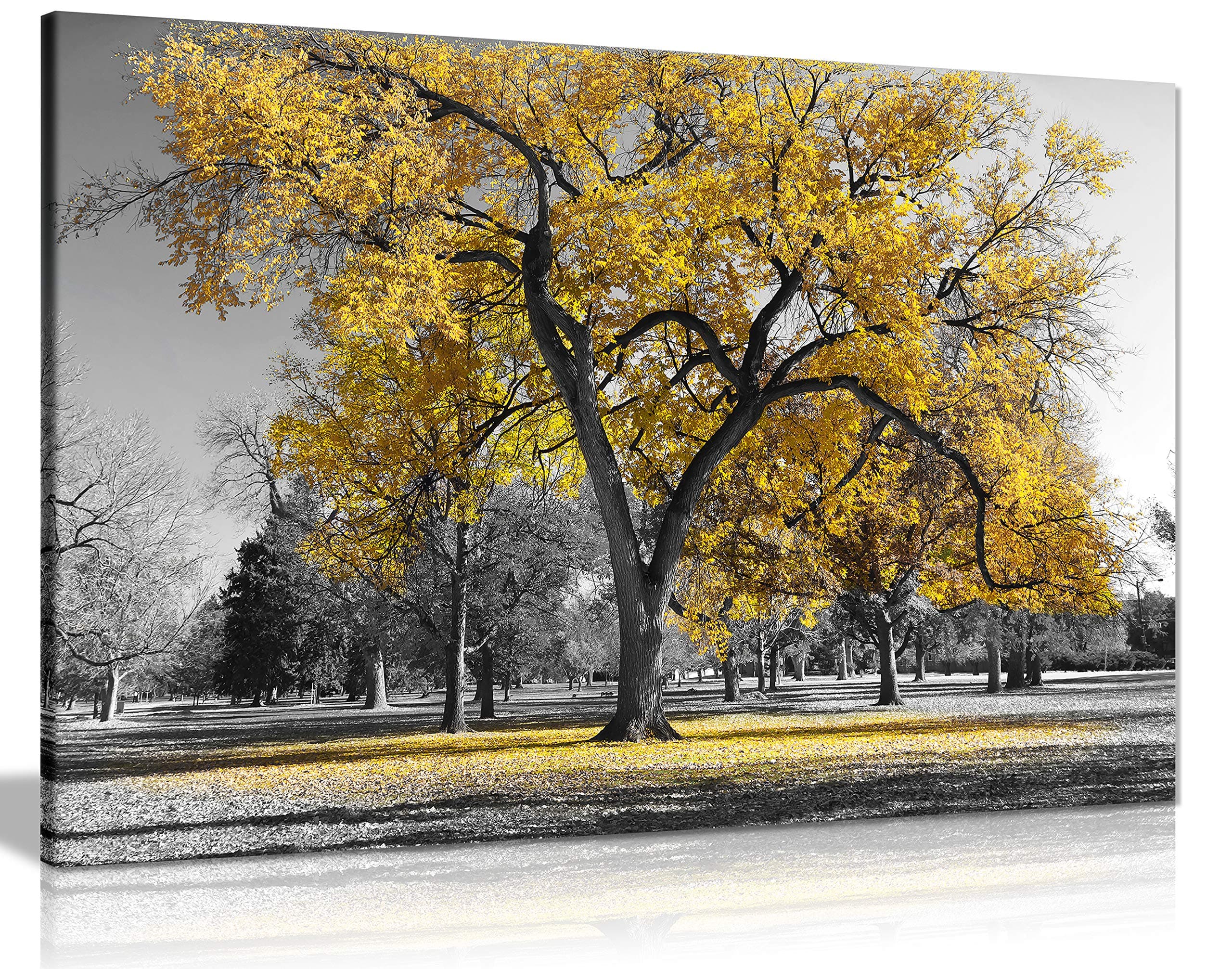 Panther Print, Large Canvas Wall Art, Beautiful Living Room and Bedroom Framed Art, Quality Picture Prints for Walls, Nature Design, Large Tree Yellow Leaves, Print for Special Occasions (30x20 Inch)